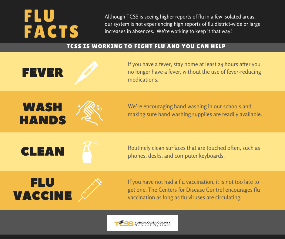 flu facts image 